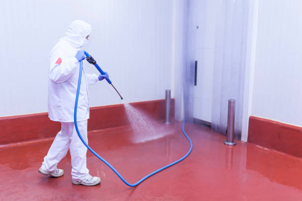 Best Graffiti Removal  in Lake Junaluska, NC